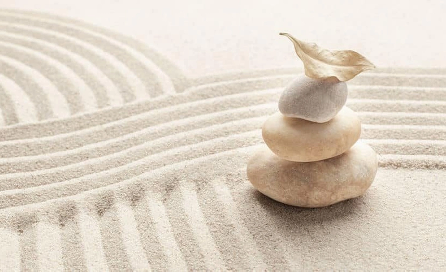 Zen business coaching office environment